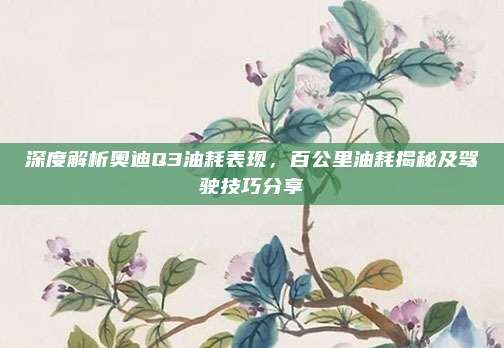 深度解析奥迪Q3油耗表现,百公里油耗揭秘及驾驶技巧分享