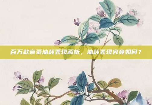 百万款帝豪油耗表现解析，油耗表现究竟如何？