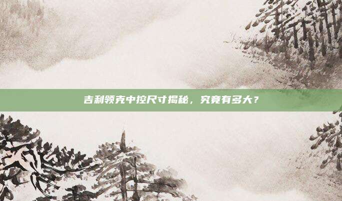 吉利领克中控尺寸揭秘，究竟有多大？