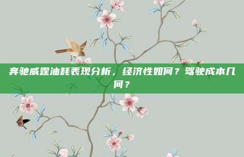 奔驰威霆油耗表现分析，经济性如何？驾驶成本几何？