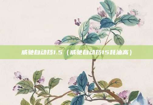 威驰自动挡1.5（威驰自动挡15耗油高）