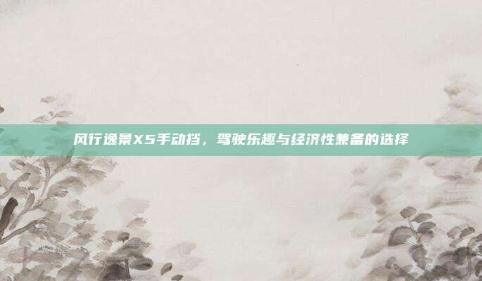 风行逸景X5手动挡，驾驶乐趣与经济性兼备的选择