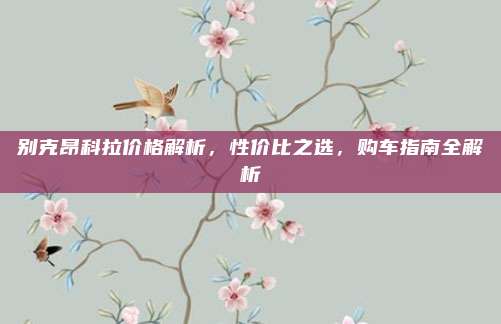 别克昂科拉价格解析，性价比之选，购车指南全解析