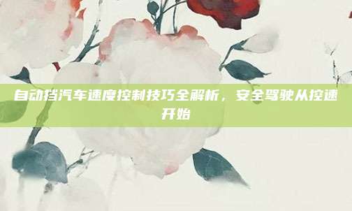 自动挡汽车速度控制技巧全解析，安全驾驶从控速开始