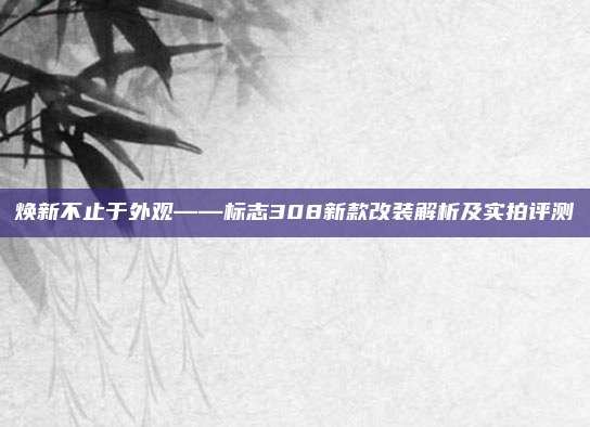 焕新不止于外观——标志308新款改装解析及实拍评测
