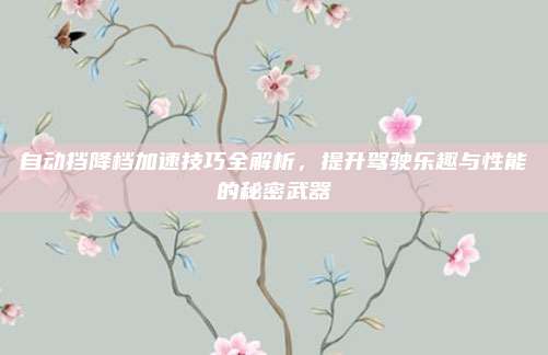 自动挡降档加速技巧全解析，提升驾驶乐趣与性能的秘密武器