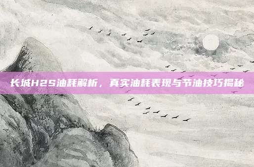 长城H2S油耗解析，真实油耗表现与节油技巧揭秘