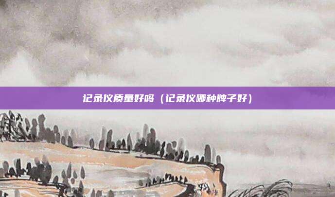记录仪质量好吗(记录仪哪种牌子好)