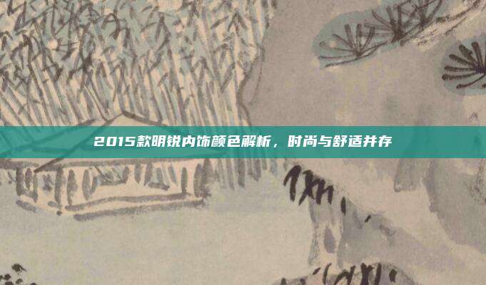 2015款明锐内饰颜色解析，时尚与舒适并存