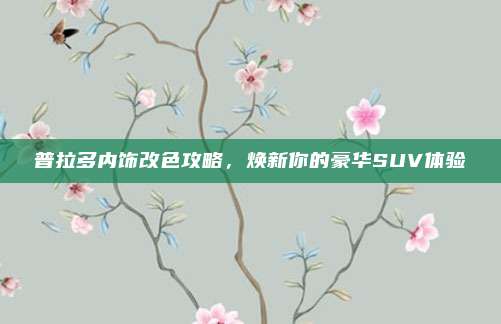 普拉多内饰改色攻略,焕新你的豪华SUV体验