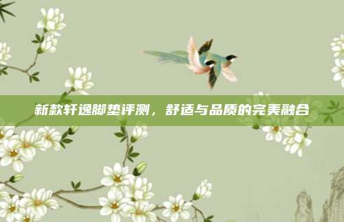 新款轩逸脚垫评测，舒适与品质的完美融合