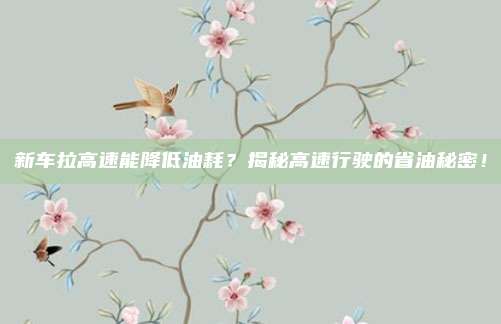 新车拉高速能降低油耗？揭秘高速行驶的省油秘密！