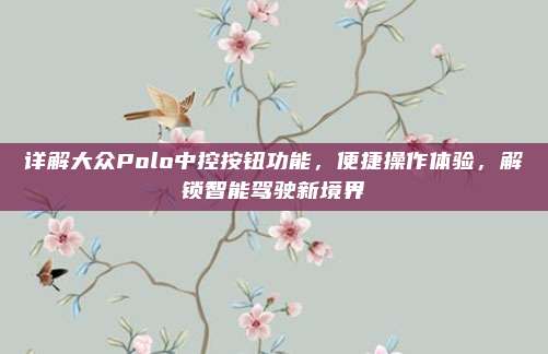 详解大众Polo中控按钮功能，便捷操作体验，解锁智能驾驶新境界