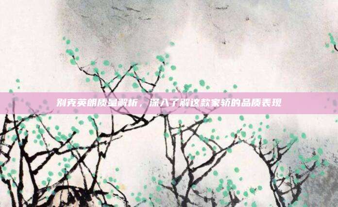别克英朗质量解析，深入了解这款家轿的品质表现