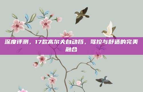 深度评测，17款高尔夫自动挡，驾控与舒适的完美融合