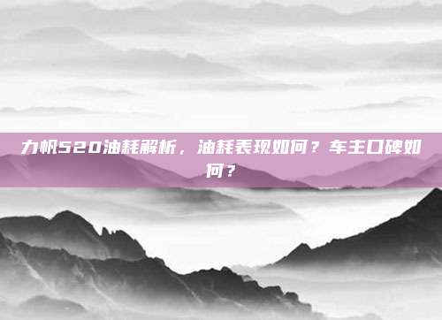 力帆520油耗解析，油耗表现如何？车主口碑如何？
