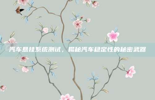 汽车悬挂系统测试，揭秘汽车稳定性的秘密武器