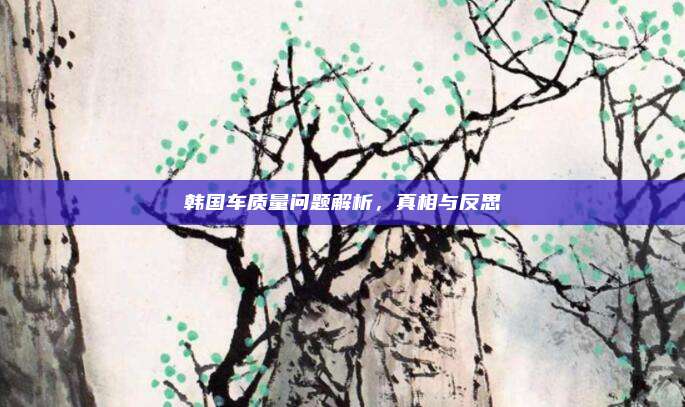 韩国车质量问题解析，真相与反思