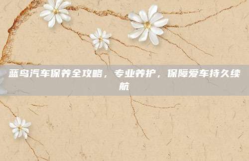 蓝鸟汽车保养全攻略，专业养护，保障爱车持久续航