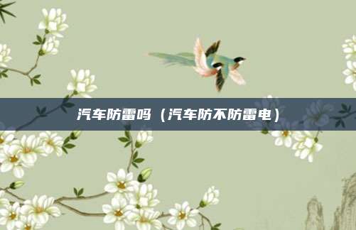 汽车防雷吗（汽车防不防雷电）