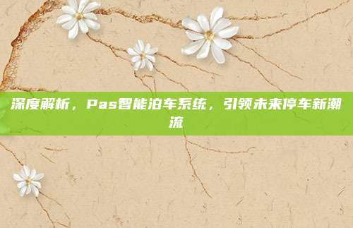 深度解析，Pas智能泊车系统，引领未来停车新潮流