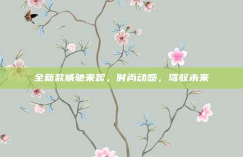 全新款威驰来袭，时尚动感，驾驭未来