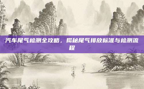汽车尾气检测全攻略，揭秘尾气排放标准与检测流程