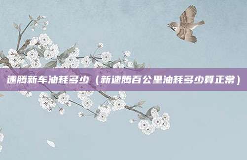 速腾新车油耗多少（新速腾百公里油耗多少算正常）