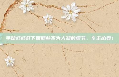 手动档档杆下面那些不为人知的细节，车主必看！