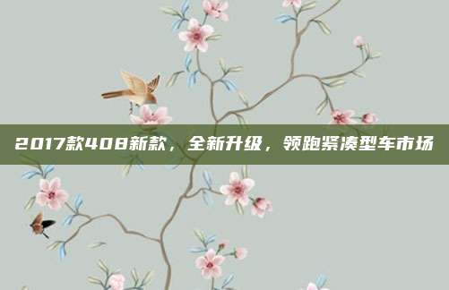 2017款408新款，全新升级，领跑紧凑型车市场
