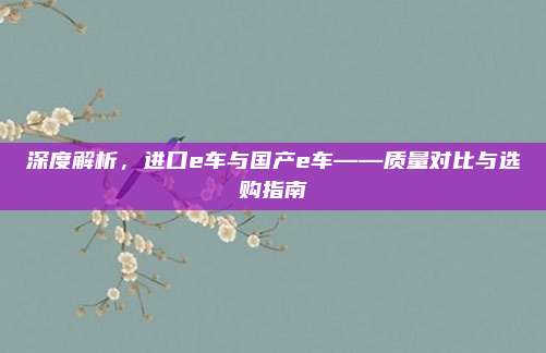 深度解析，进口e车与国产e车——质量对比与选购指南