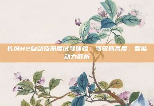 长城H2自动挡深度试驾体验，驾驭新高度，智能动力解析