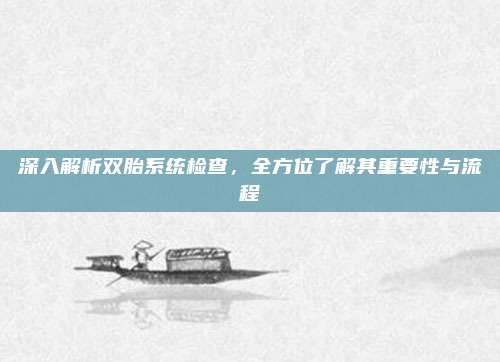 深入解析双胎系统检查，全方位了解其重要性与流程
