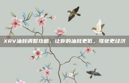 XRV油耗调整攻略，让你的油耗更低，驾驶更经济