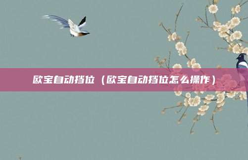 欧宝自动挡位（欧宝自动挡位怎么操作）