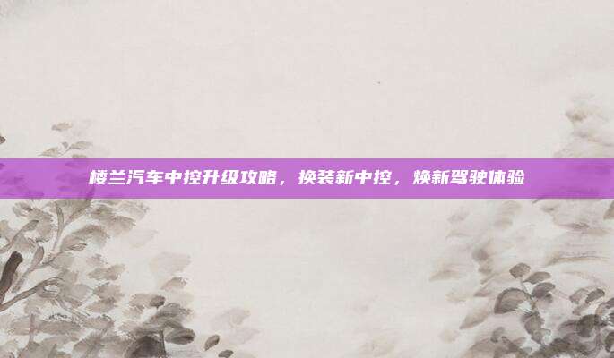 楼兰汽车中控升级攻略，换装新中控，焕新驾驶体验