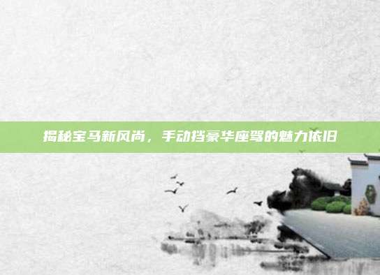 揭秘宝马新风尚，手动挡豪华座驾的魅力依旧