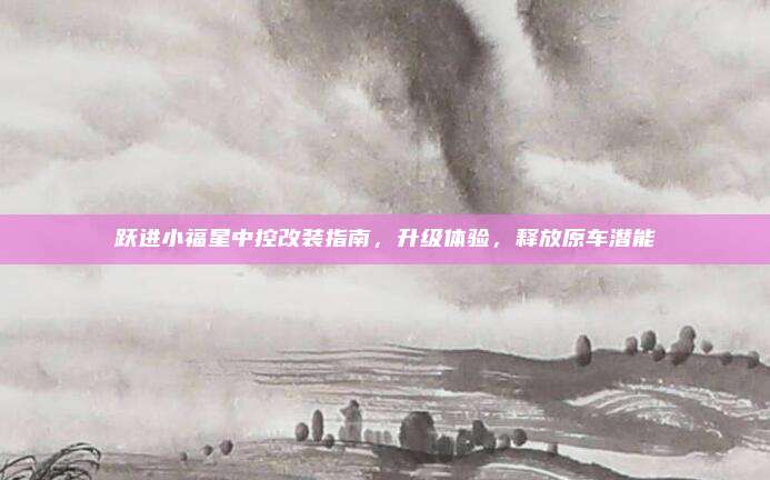 跃进小福星中控改装指南，升级体验，释放原车潜能