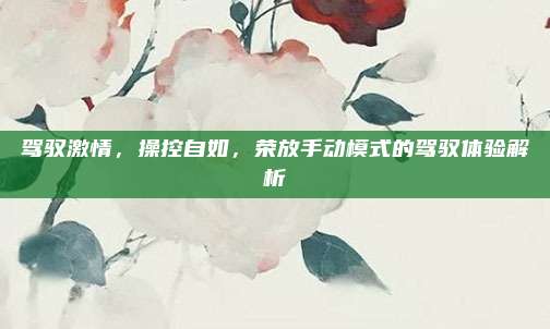 驾驭激情，操控自如，荣放手动模式的驾驭体验解析