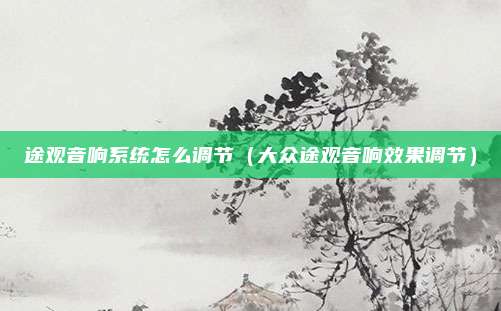 途观音响系统怎么调节(大众途观音响效果调节)