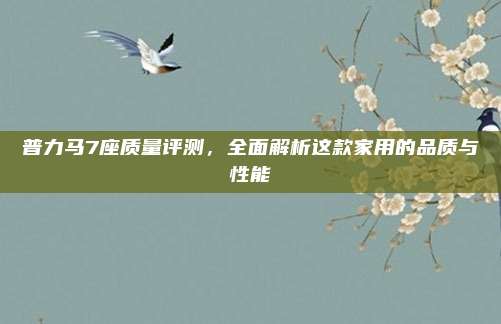 普力马7座质量评测，全面解析这款家用的品质与性能