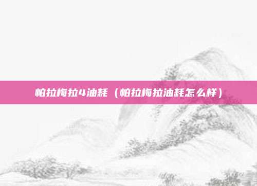 帕拉梅拉4油耗(帕拉梅拉油耗怎么样)