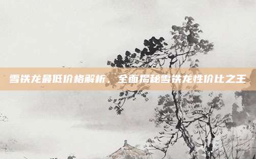 雪铁龙最低价格解析，全面揭秘雪铁龙性价比之王