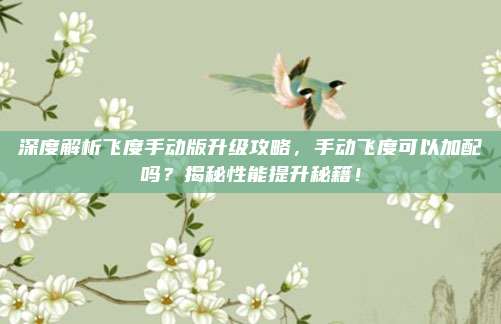 深度解析飞度手动版升级攻略，手动飞度可以加配吗？揭秘性能提升秘籍！