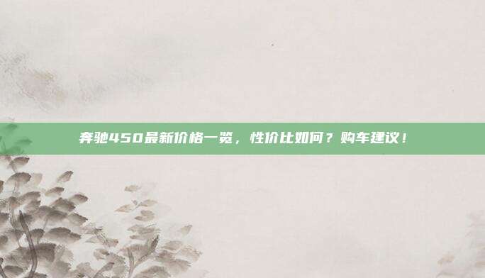 奔驰450最新价格一览，性价比如何？购车建议！