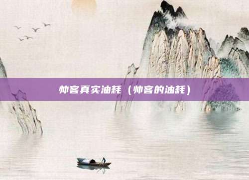 帅客真实油耗(帅客的油耗)