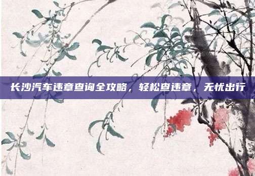 长沙汽车违章查询全攻略,轻松查违章,无忧出行