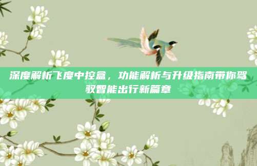 深度解析飞度中控盒,功能解析与升级指南带你驾驭智能出行新篇章