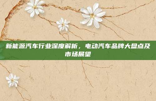 新能源汽车行业深度解析，电动汽车品牌大盘点及市场展望