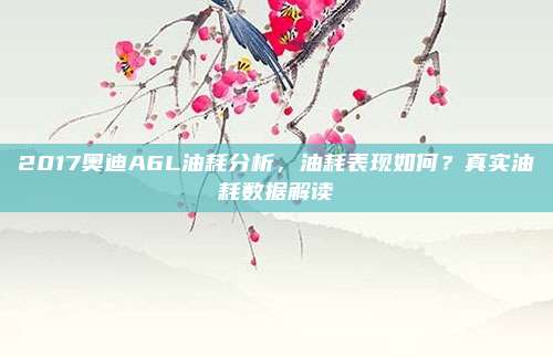 2017奥迪A6L油耗分析，油耗表现如何？真实油耗数据解读